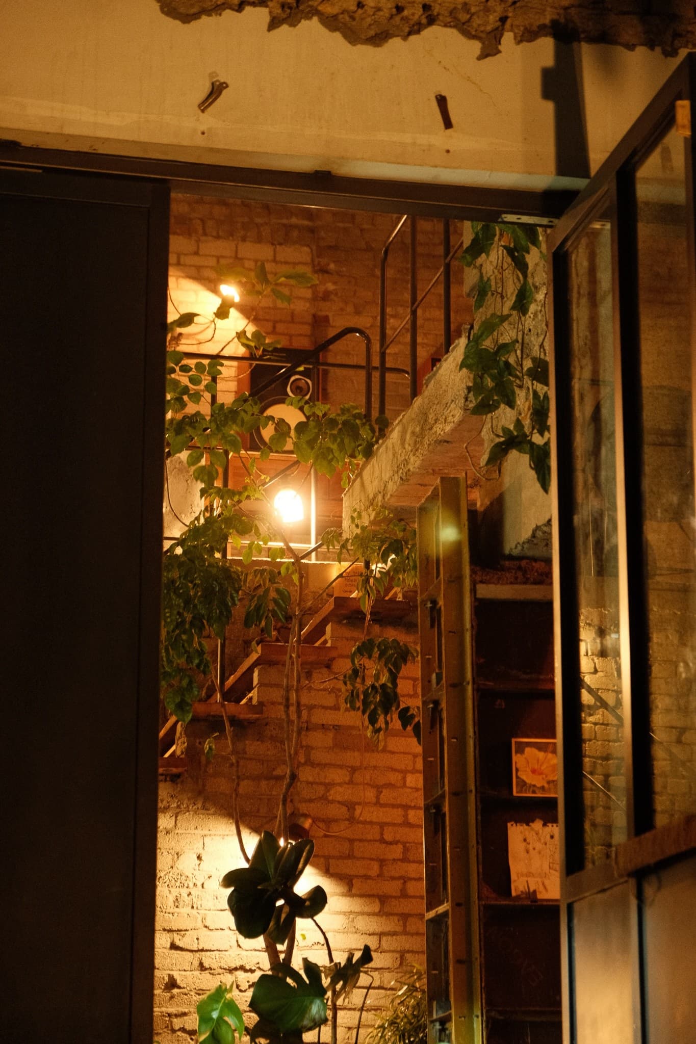 A plant-filled interior